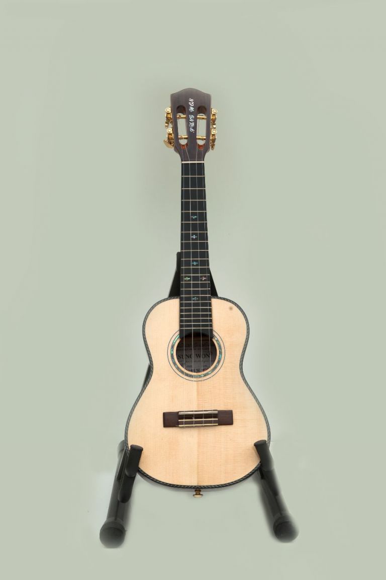 우쿨렐레콘서트